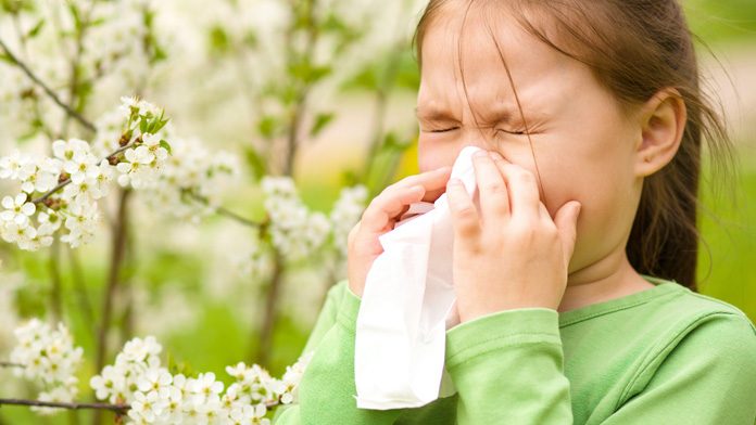 Risultati immagini per allergie